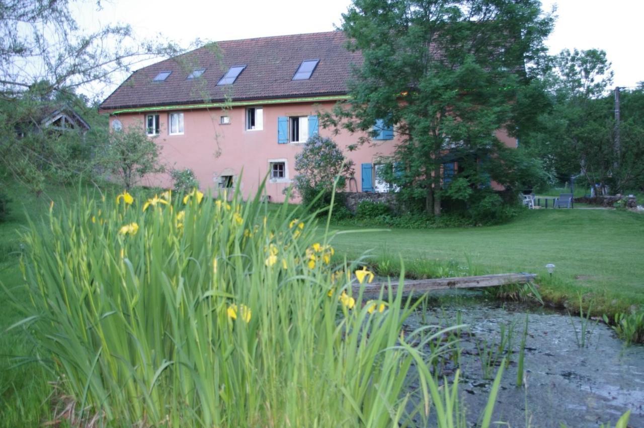 Le Moulin Des Oyes Bed & Breakfast Censeau Екстериор снимка